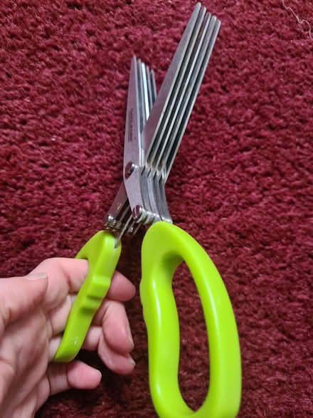 Photo of free Crafting scissors (Lewes BN7) #1