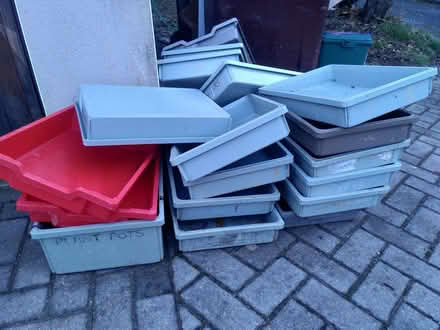 Photo of free 20 or so classroom trays (North Hinksey OX2) #1