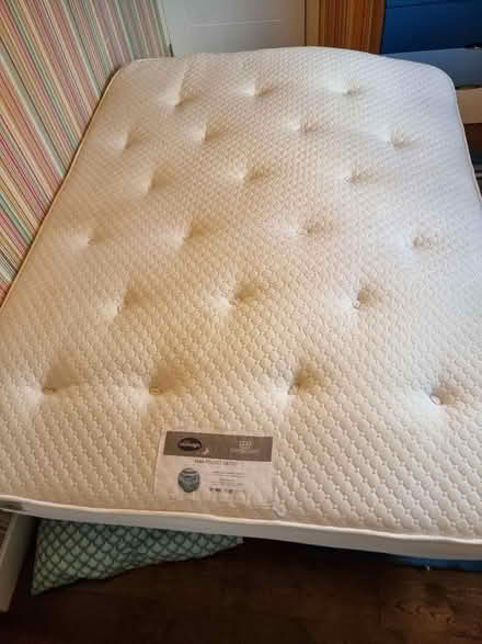 Photo of free Mattress king size Silent night (Chells SG2) #1