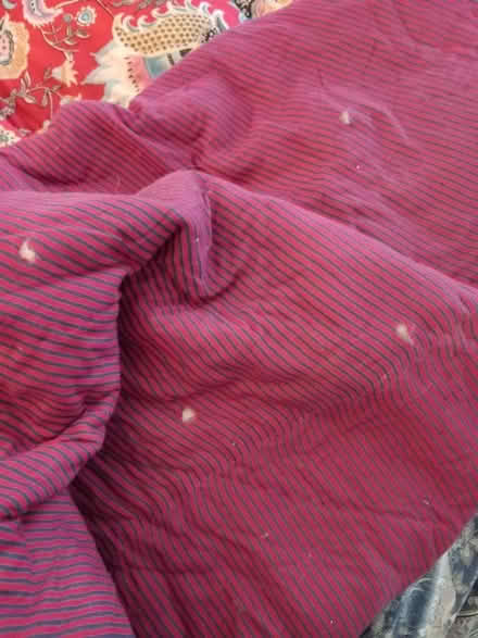 Photo of free Quilted bed cover (Bath) #2