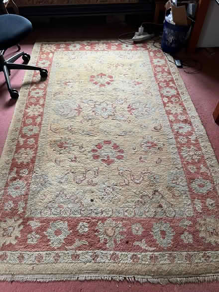 Photo of free Rug (Sheffield Park TN22) #1