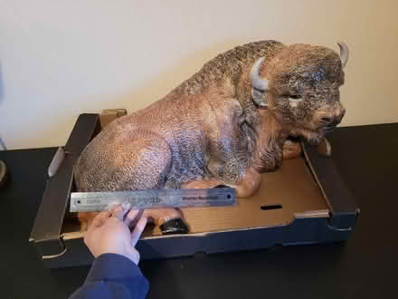 Photo of free Large ceramic buffalo (Hanford ST4) #1