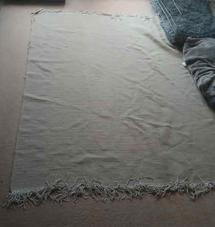 Photo of free Benuta rug - does have a tear (Rackheath NR13) #1