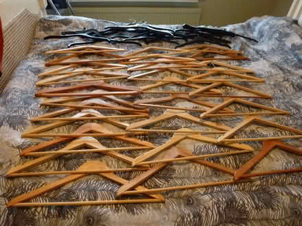 Photo of free Clothes Hangers (Hadleigh SS7) #1