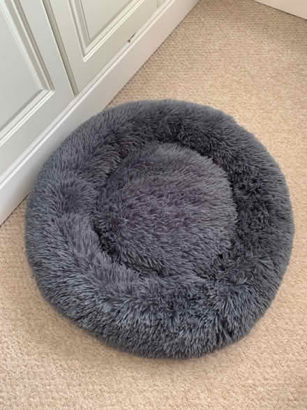 Photo of free Small dog bed (ME15 off Willington street) #1