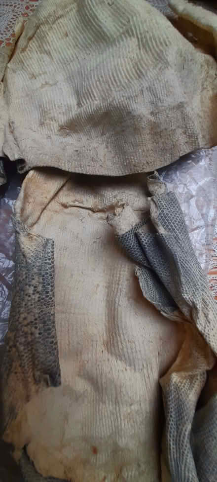 Photo of free Animal skin, antique, lizard? For crafting (Thorpe St Andrew NR7) #1
