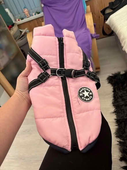 Photo of free Pink dog coat size Medium (Brierlow Bar SK17) #1
