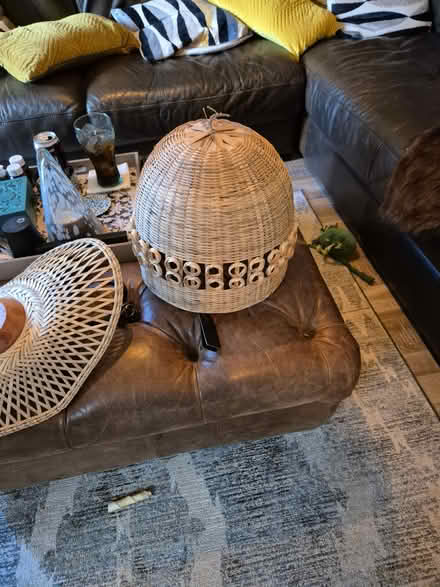 Photo of free 2 wicker light shade (Rm3 0gd) #1