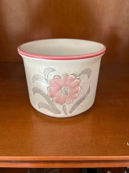 Photo of free Plant pot (Forest hall NE12) #1