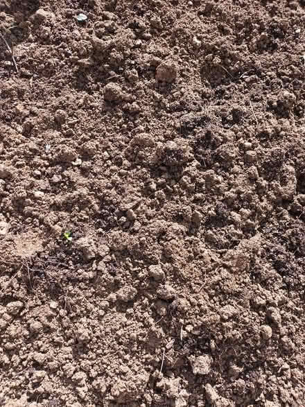 Photo of free Bricks, Hard-core and Top Soil (Northampton north) #1