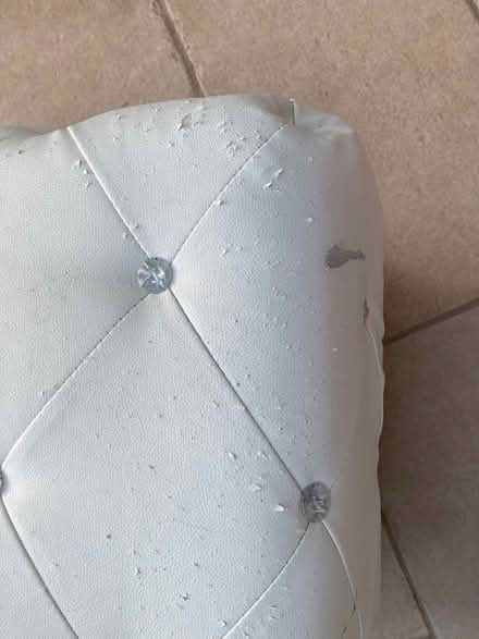 Photo of free Stool (Queens Park BH8) #3