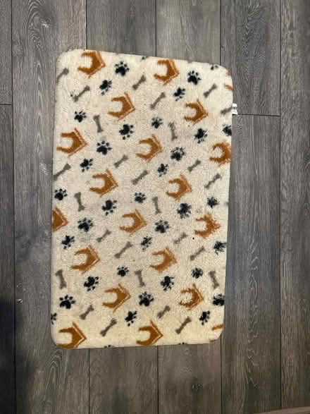 Photo of free Small dog cushion (Forest hall NE12) #1