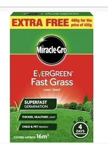 Photo of Grass seed (Swindon SN3) #2
