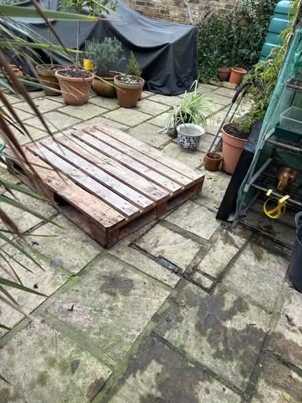 Photo of free Large wooden palate (SW15) #1