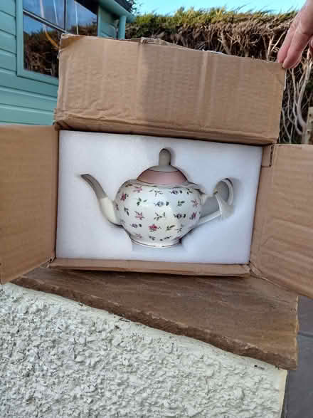 Photo of free Teapot with infuser. (Netherfield, Kendal LA9) #2