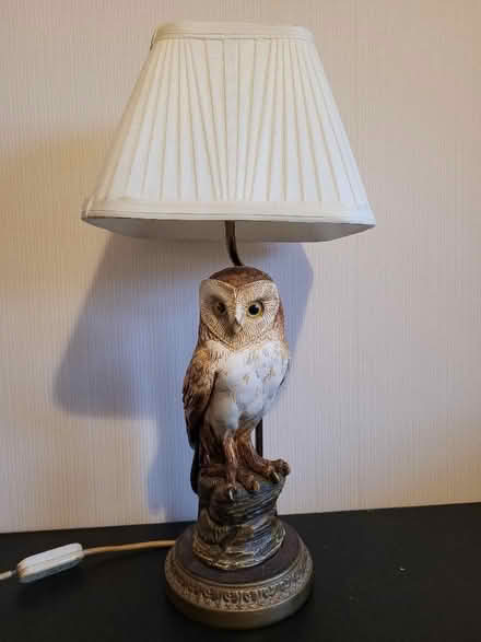 Photo of free Owl lamp (Hanford ST4) #2