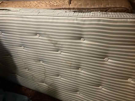 Photo of free Two single mattresses (Brasted TN13) #1