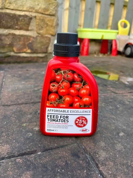 Photo of free Tomato food (Handsworth, S13) #1
