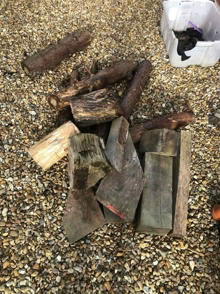 Photo of free Firewood WWitt PO20 (West Wittering PO20) #1