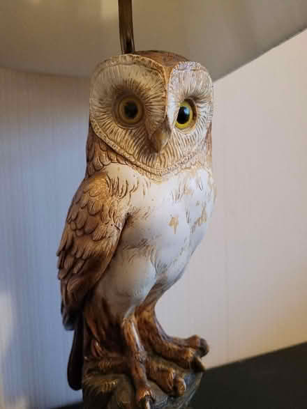 Photo of free Owl lamp (Hanford ST4) #3