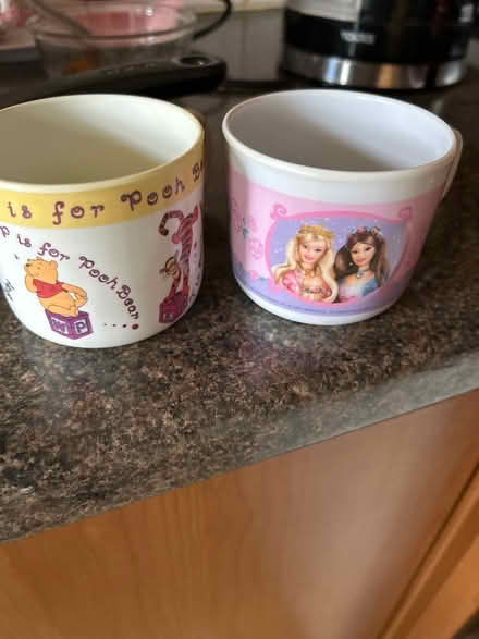 Photo of free Plastic plates etc for kids (Forest hall NE12) #2