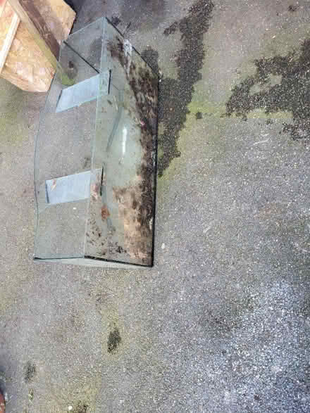 Photo of free Large glass tank (Crystal Palace) #2