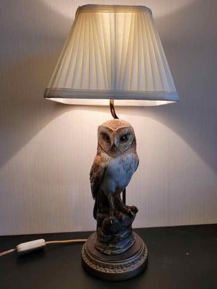 Photo of free Owl lamp (Hanford ST4) #1