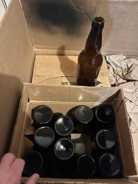 Photo of free Beer Bottles (Princeton Junction) #1