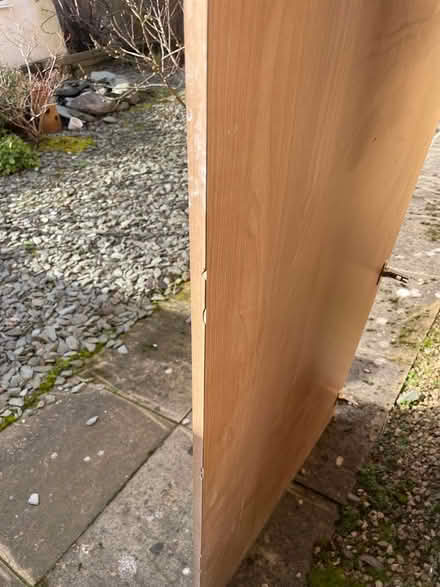 Photo of free Wood (Birmingham) #2