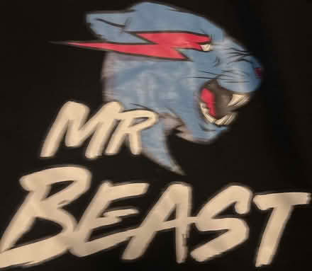 Photo of free Hoodie (DA11) #2