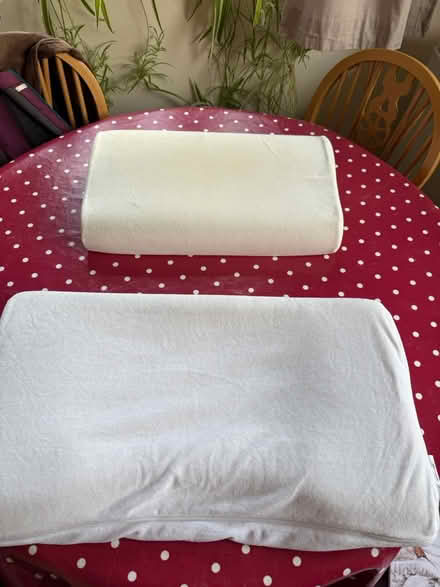 Photo of free Neck pillows (PO12 2 Gosport) #1