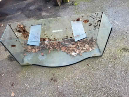 Photo of free Large glass tank (Crystal Palace) #1