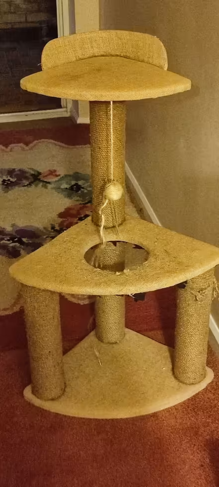 Photo of free Large Cat Scratcher (Northowram HX3) #1