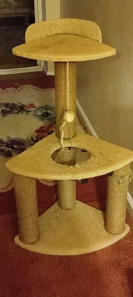 Photo of free Large Cat Scratcher (Northowram HX3) #1