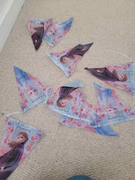 Photo of free Frozen party bunting (Lower Walkley S6) #1