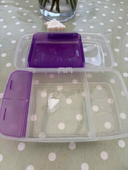 Photo of free Bento box - unused (EH25, Roslin) #2