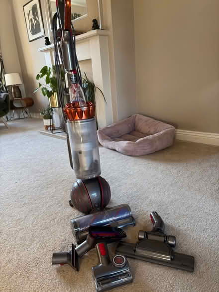 Photo of free Dyson upright hoover (Harrogate HG2) #3