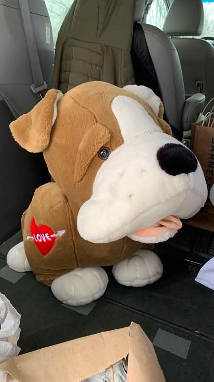 Photo of free 18” Dog Plushie (Auburndale) #1