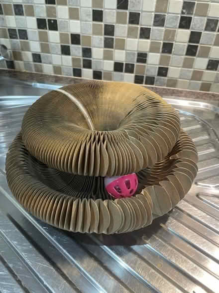 Photo of free Cat you with ball (Southgate RH11) #1