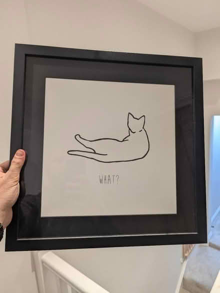 Photo of free Cat art (OX4 Boulter Street) #1