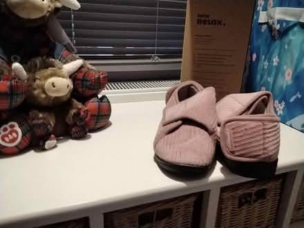 Photo of free Wide slippers or shoes (Bradninch) #1