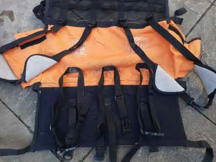 Photo of free Bike trailer/cargo child seatbelts (Camberwell, SE5) #2