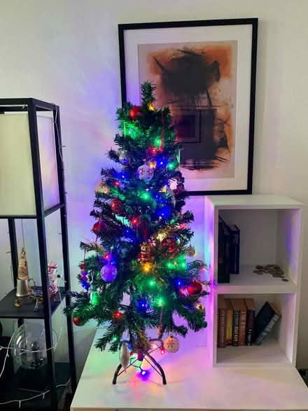 Photo of free Christmas tree (Southfields) #2