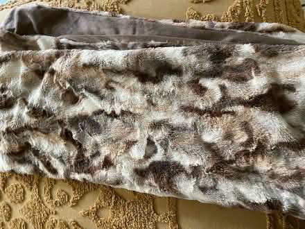 Photo of free Comfy blanket (Hallandale Beach Blvd and US1) #1
