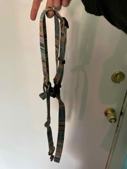 Photo of free Large dog collar and leash (Petworth) #1