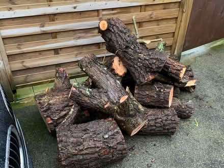 Photo of Firewood / logs (Ribble Valley) #1