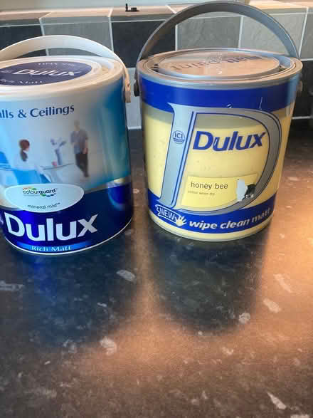 Photo of free Dulux Matt paint and Dyson vacuum (Ramleaze) #3
