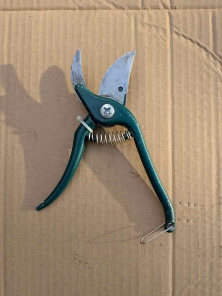Photo of free Garden Scissors and Collection of Pruners (Bushey Heath WD23) #2