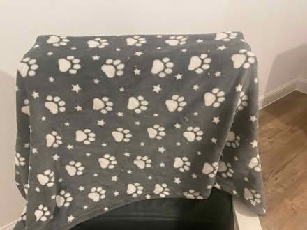 Photo of free Pet's blanket (Allington ME16) #1