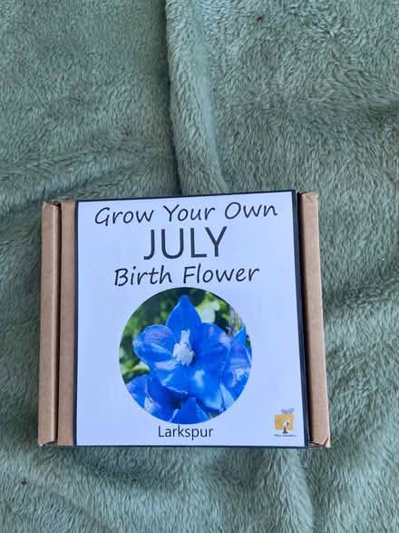 Photo of free Packet of Larkspur seeds (Milton PO3) #1